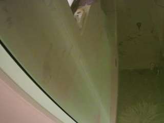 voyeurcam-casa-salsa-bathroom-13 avatar