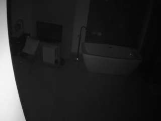 voyeurcam-casa-salsa-bathroom-4 avatar