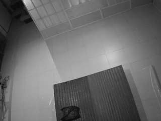 voyeurcam-jb-room-6 avatar