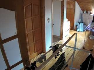 voyeurcam-julmodels-hall-2nd avatar